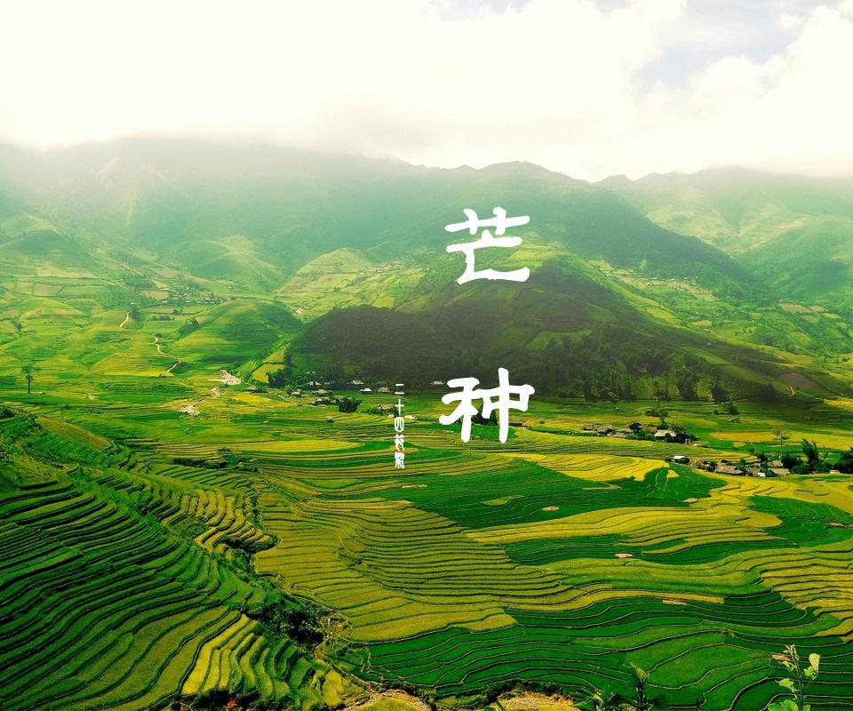 芒种|一体机伺服纠偏系统厂家愿您种下希望,收获美好